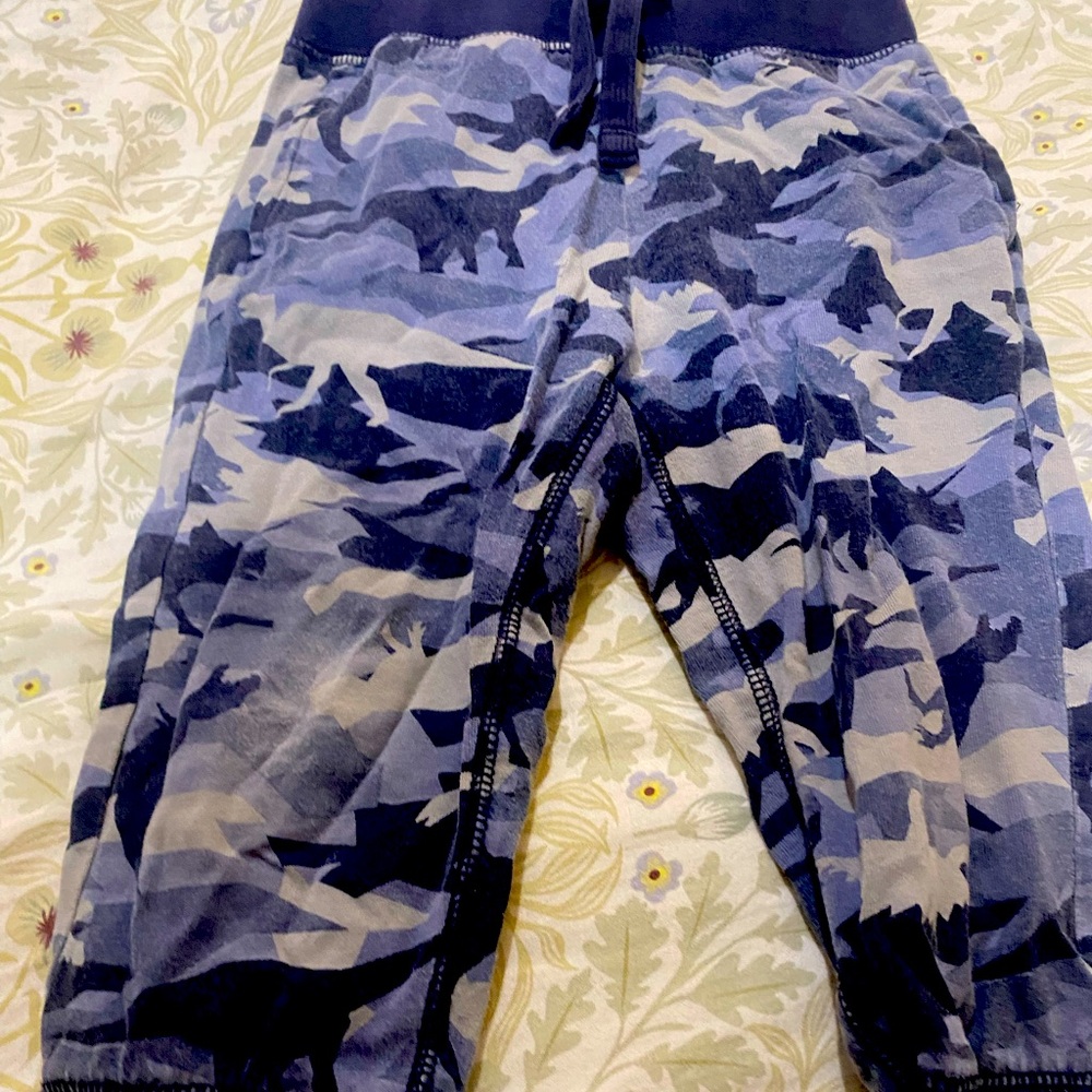 Gap boys blue camouflage pants